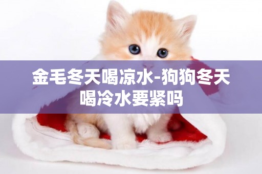 金毛冬天喝涼水-狗狗冬天喝冷水要緊嗎