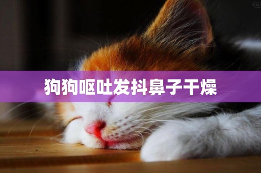 狗狗嘔吐發抖鼻子干燥