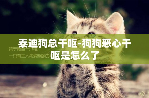 泰迪狗總干嘔-狗狗惡心干嘔是怎么了