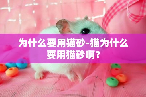 為什么要用貓砂-貓為什么要用貓砂啊？