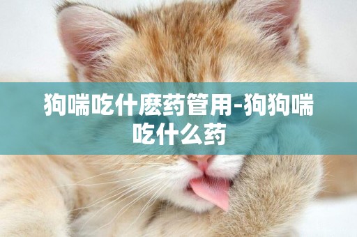 狗喘吃什麼藥管用-狗狗喘吃什么藥