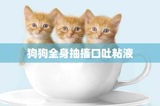 狗狗全身抽搐口吐粘液