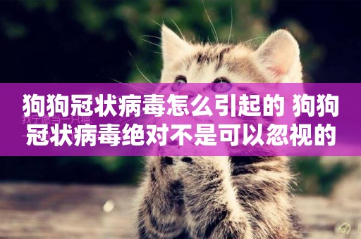 狗狗冠狀病毒怎么引起的 狗狗冠狀病毒絕對不是可以忽視的