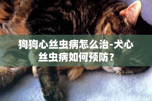 狗狗心絲蟲病怎么治-犬心絲蟲病如何預防？