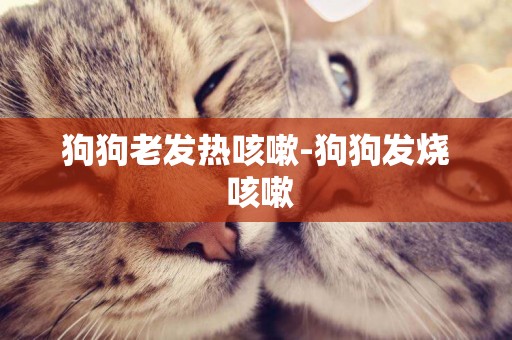 狗狗老發熱咳嗽-狗狗發燒 咳嗽