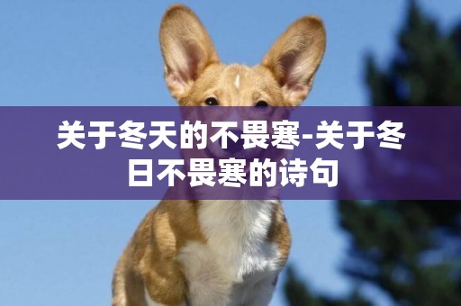 關于冬天的不畏寒-關于冬日不畏寒的詩句