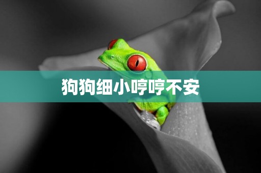 狗狗細小哼哼不安