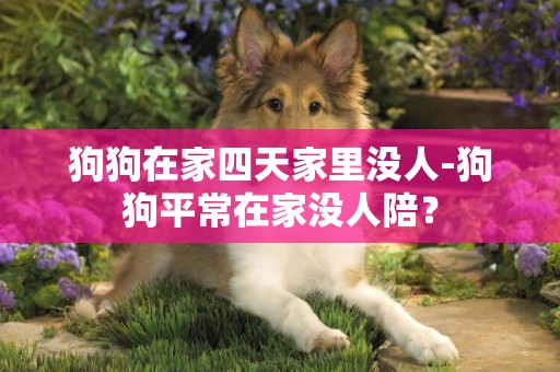 狗狗在家四天家里沒人-狗狗平常在家沒人陪？
