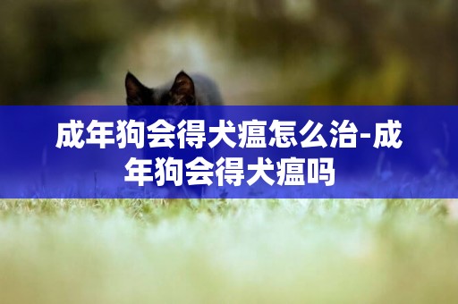 成年狗會得犬瘟怎么治-成年狗會得犬瘟嗎