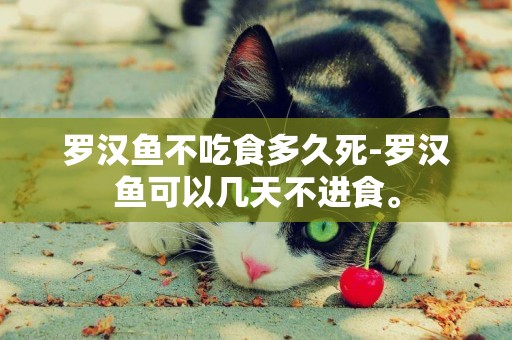 羅漢魚不吃食多久死-羅漢魚可以幾天不進食。