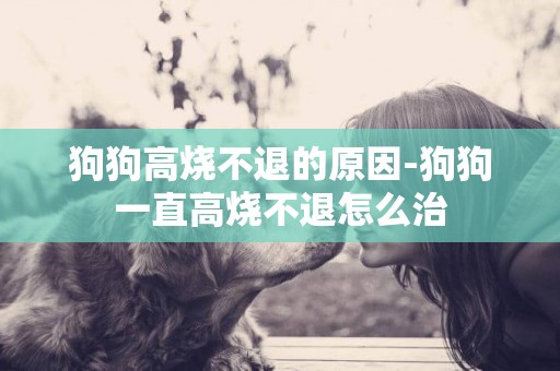 狗狗高燒不退的原因-狗狗一直高燒不退怎么治
