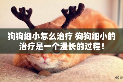 狗狗細小怎么治療 狗狗細小的治療是一個漫長的過程！