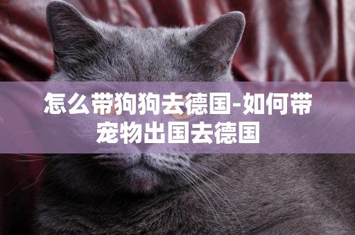 怎么帶狗狗去德國-如何帶寵物出國去德國