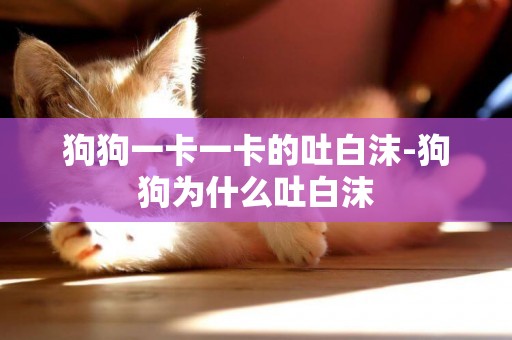 狗狗一卡一卡的吐白沫-狗狗為什么吐白沫