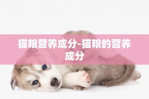 貓糧營養成分-貓糧的營養成分