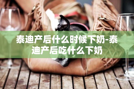 泰迪產后什么時候下奶-泰迪產后吃什么下奶
