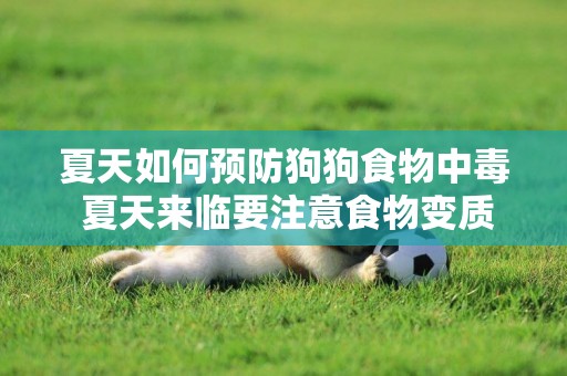 夏天如何預防狗狗食物中毒 夏天來臨要注意食物變質