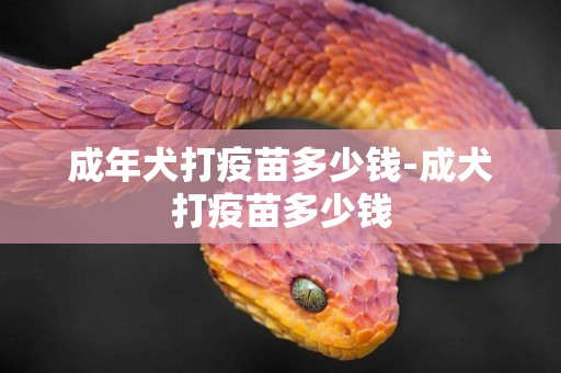 成年犬打疫苗多少錢-成犬打疫苗多少錢