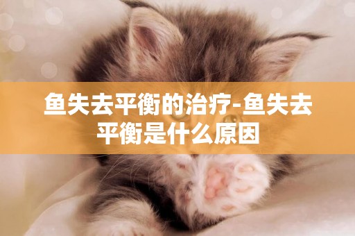 魚失去平衡的治療-魚失去平衡是什么原因