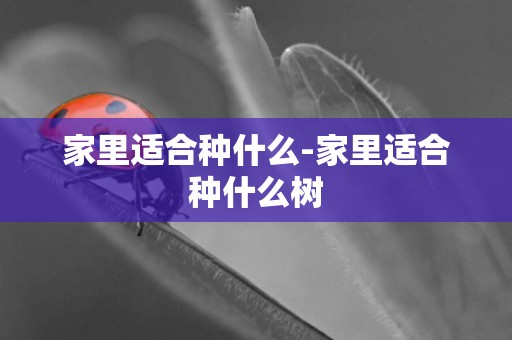 家里適合種什么-家里適合種什么樹