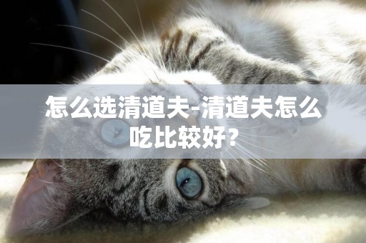 怎么選清道夫-清道夫怎么吃比較好？