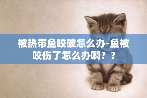 被熱帶魚咬破怎么辦-魚被咬傷了怎么辦啊？？