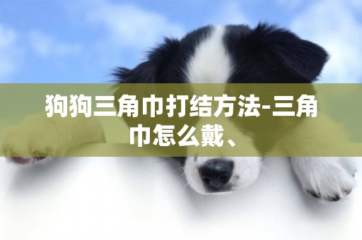 狗狗三角巾打結方法-三角巾怎么戴、