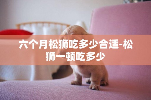 六個月松獅吃多少合適-松獅一頓吃多少