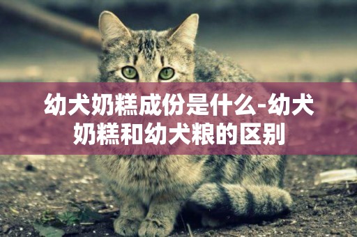 幼犬奶糕成份是什么-幼犬奶糕和幼犬糧的區別