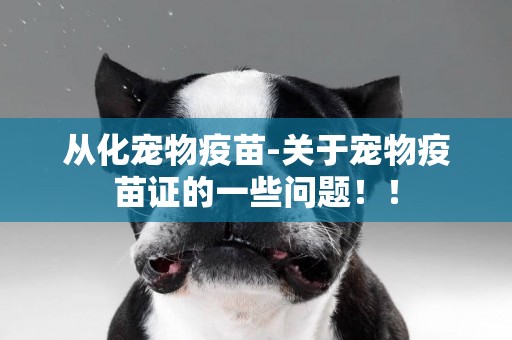 從化寵物疫苗-關于寵物疫苗證的一些問題！！