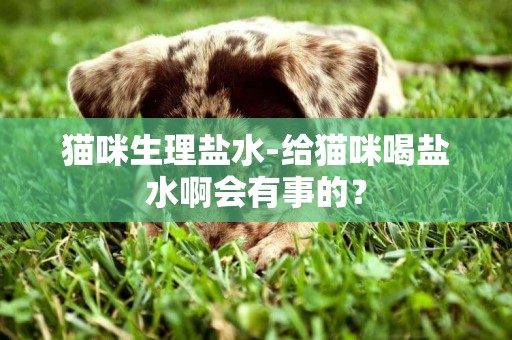 貓咪生理鹽水-給貓咪喝鹽水啊會有事的？