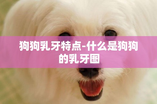狗狗乳牙特點-什么是狗狗的乳牙圖