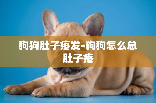 狗狗肚子疼發-狗狗怎么總肚子疼
