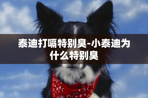 泰迪打嗝特別臭-小泰迪為什么特別臭