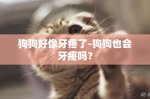 狗狗好像牙疼了-狗狗也會牙疼嗎？
