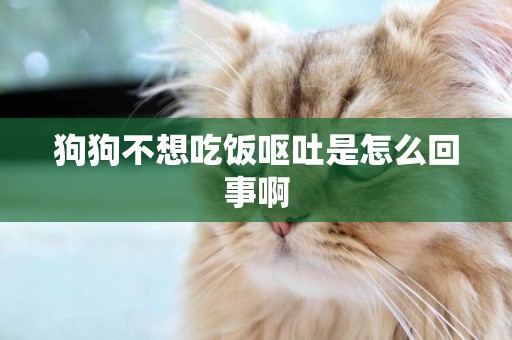 狗狗不想吃飯嘔吐是怎么回事啊