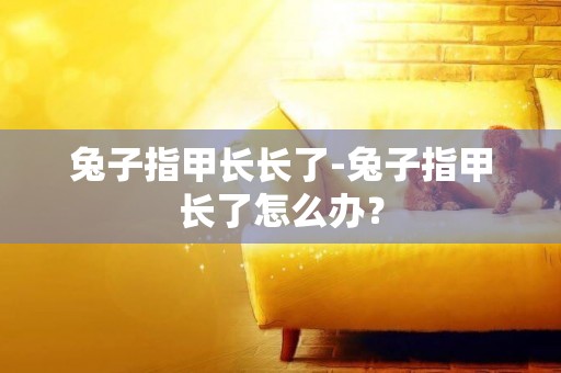 兔子指甲長長了-兔子指甲長了怎么辦？