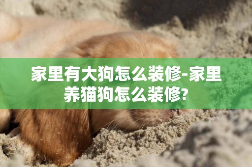 家里有大狗怎么裝修-家里養貓狗怎么裝修?