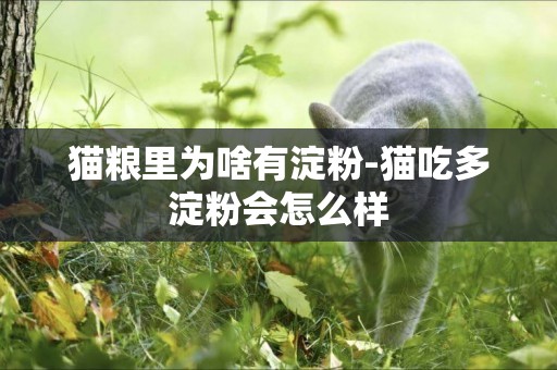 貓糧里為啥有淀粉-貓吃多淀粉會怎么樣