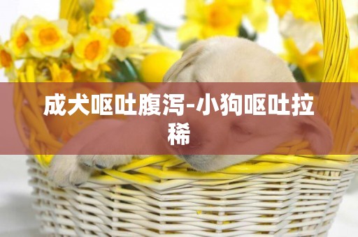 成犬嘔吐腹瀉-小狗嘔吐拉稀