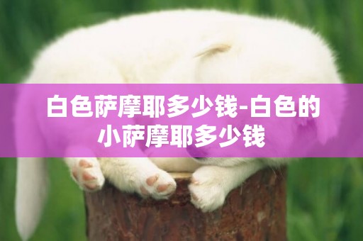 白色薩摩耶多少錢-白色的小薩摩耶多少錢