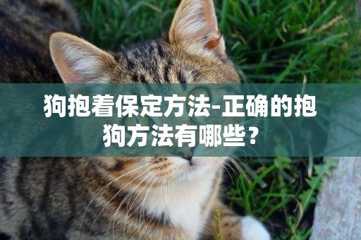 狗抱著保定方法-正確的抱狗方法有哪些？