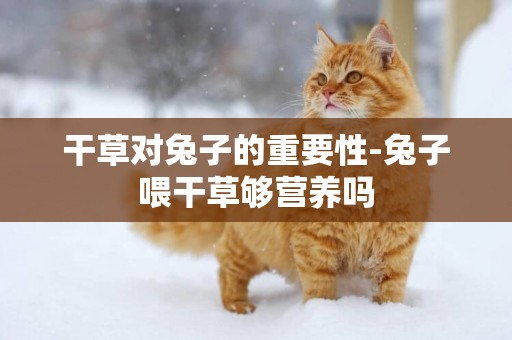 干草對兔子的重要性-兔子喂干草夠營養嗎