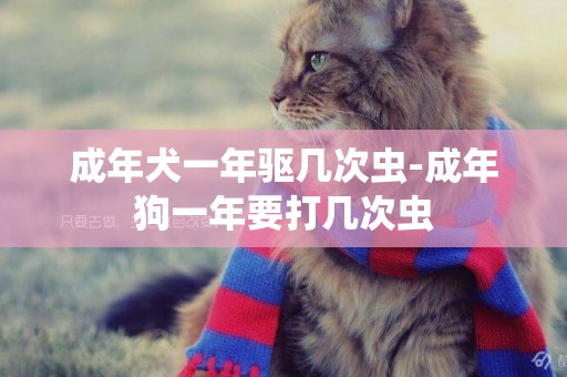 成年犬一年驅幾次蟲-成年狗一年要打幾次蟲