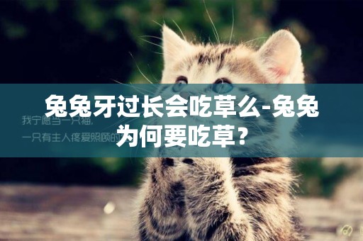 兔兔牙過長會吃草么-兔兔為何要吃草？