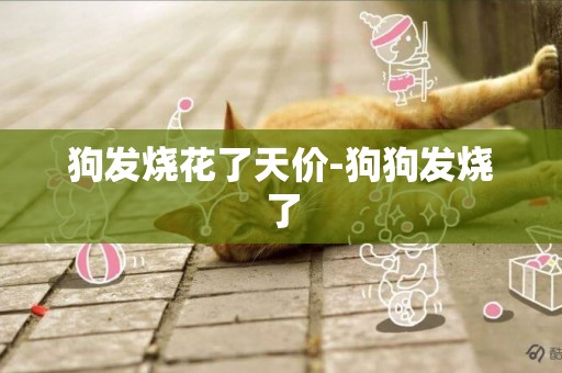 狗發燒花了天價-狗狗發燒了
