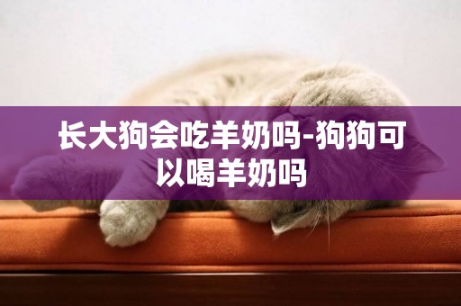 長大狗會吃羊奶嗎-狗狗可以喝羊奶嗎