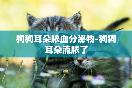 狗狗耳朵膿血分泌物-狗狗耳朵流膿了