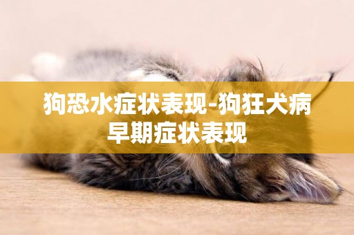 狗恐水癥狀表現-狗狂犬病早期癥狀表現