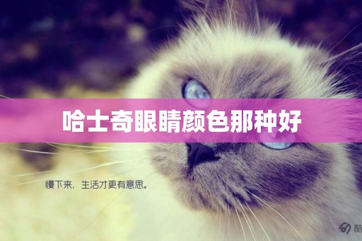 哈士奇眼睛顏色那種好
